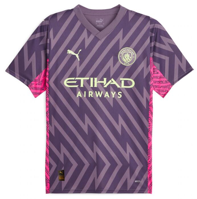 Manchester City Goalkeeper Kit Soccer Jersey 2023/24 Purple ...